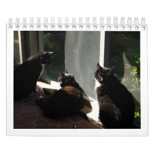 2013 calendrier - cinq amende Felines