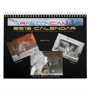 2013 calendrier - images principales de came