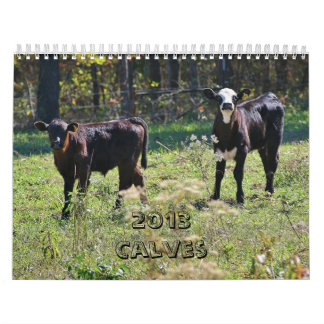 2013 Calves Calendar