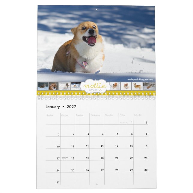 2013 Corgis! Calendar (Jan 2027)