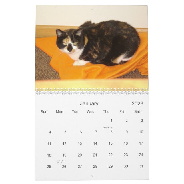 2013 Countdown Calendar (Jan 2026)