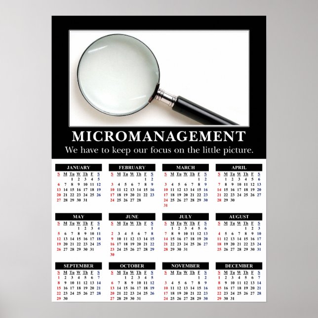 2013 Demotivational Wall Calendar: Micromanagement Poster (Front)