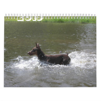2013 Doberman Calendar-revised Feb Calendar