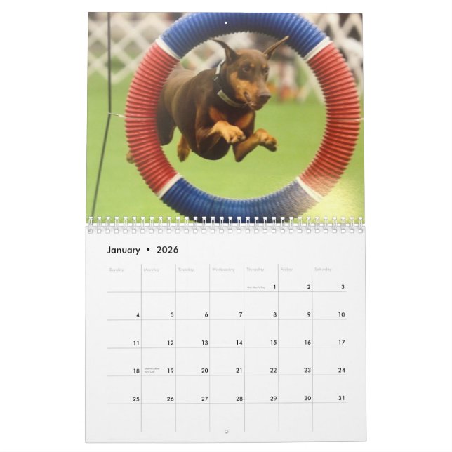 2013 Doberman Calendar-revised Nov Calendar (Jan 2026)