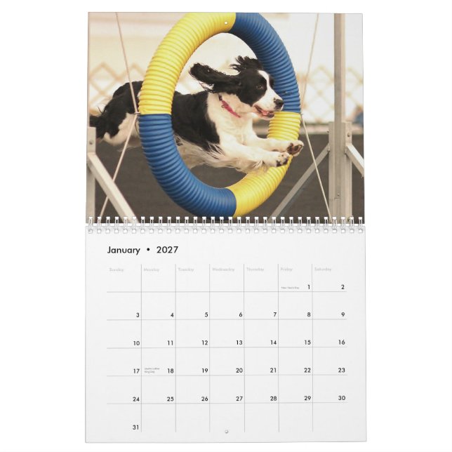 2013 English Springer Spaniels Calendar (Jan 2027)