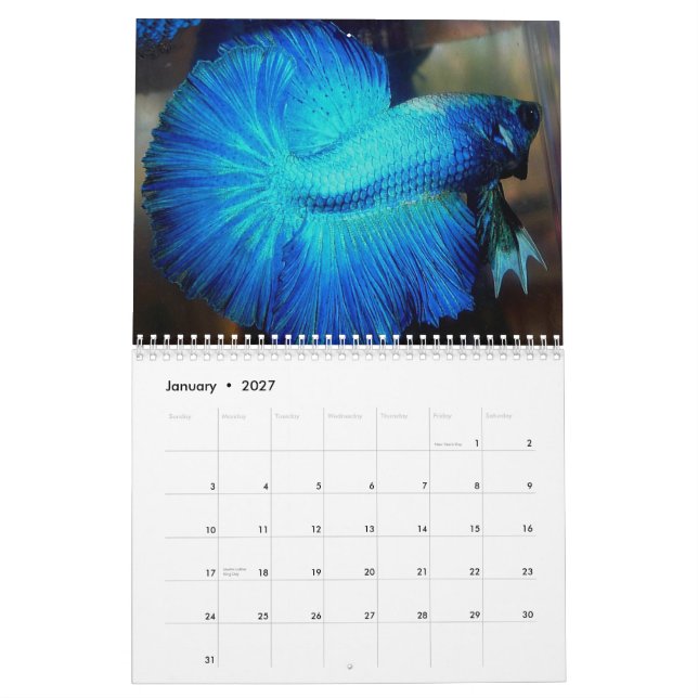 2013 Halfmoon Betta Calendar by Karen Mac Auley (Jan 2027)