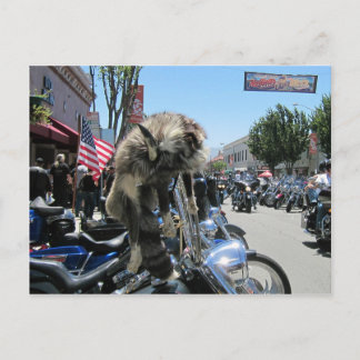 2013 Hollister Motorcycle Rally Postcard