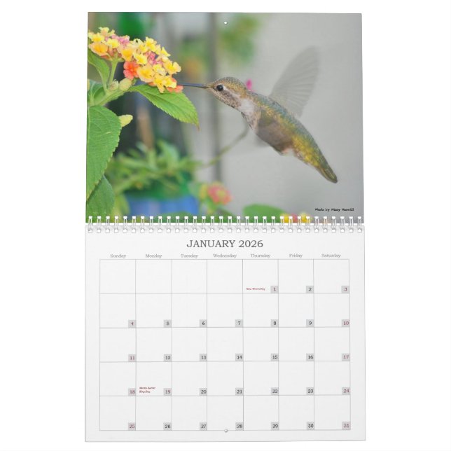 2013 Hummingbird Calendar (Jan 2026)