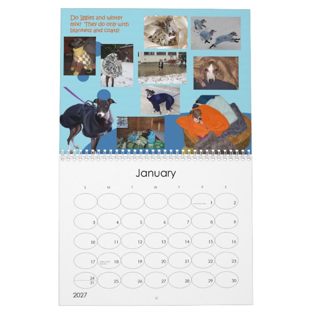 2013 IGWhisper's Italian Greyhound Calendar 2 (Jan 2027)