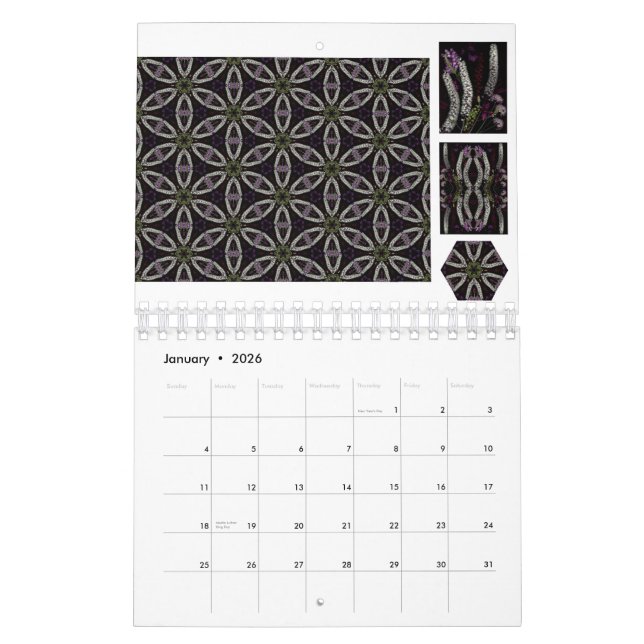 2013 l'année au calendrier creux de jardin d'Ellis (Jan 2026)