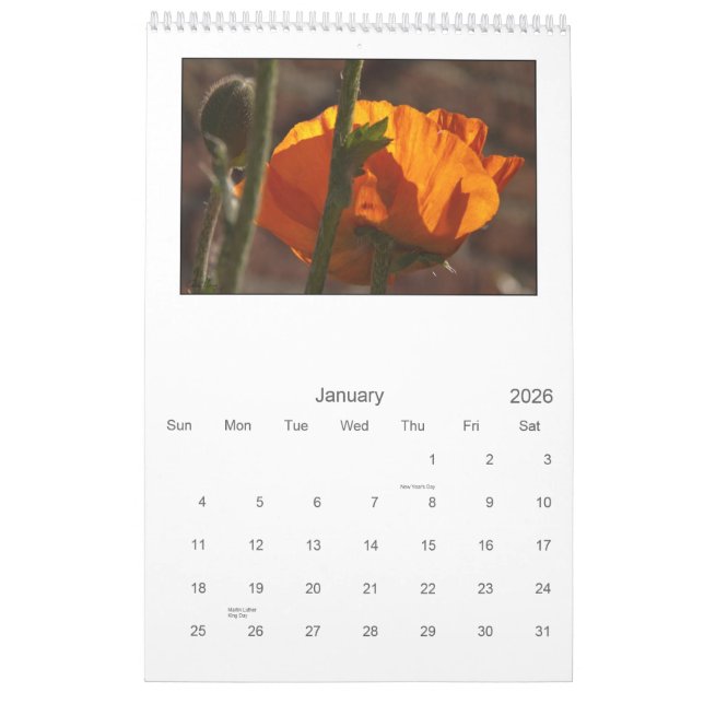 2013 - poppy calendar (Jan 2026)