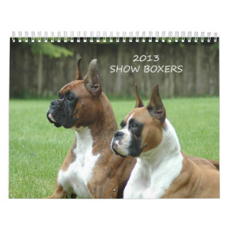 2013 Show Boxer Calendar