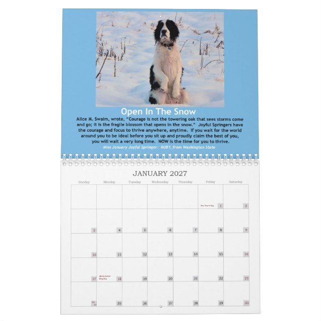 2013 Springer joyeux calendrier de 12 mois (Jan 2027)