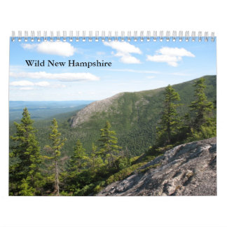 2013 Standard Wild New Hampshire Wall Calendar