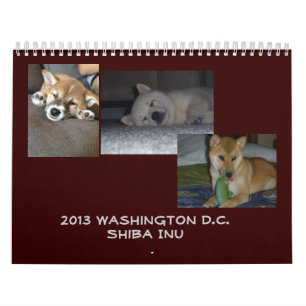 2013 Washington D.C. Shiba Inu Calendar