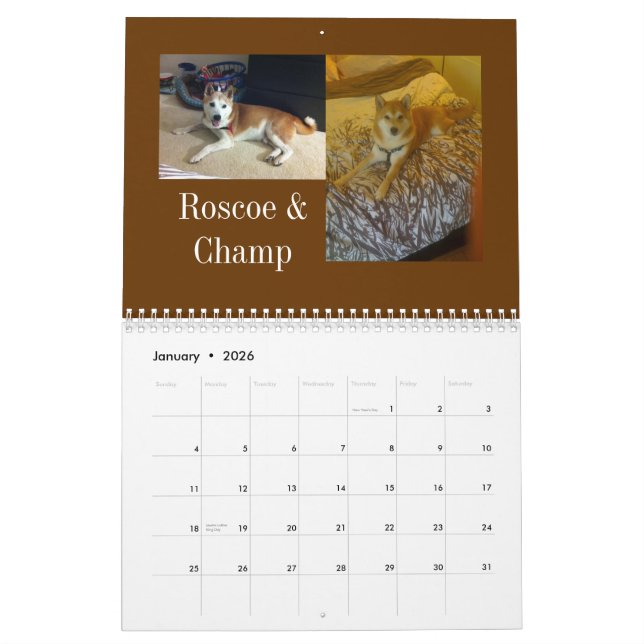 2013 Washington D.C. Shiba Inu Calendar (Jan 2026)