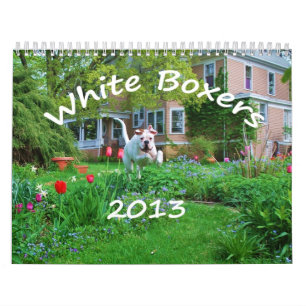 2013 White Boxer Calendar