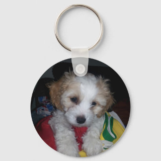 2014-07-30 23.50.12.jpg keychain