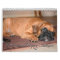 2014 Boxer Puppy Calendar