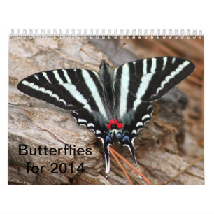 2014 Butterfly Calendar