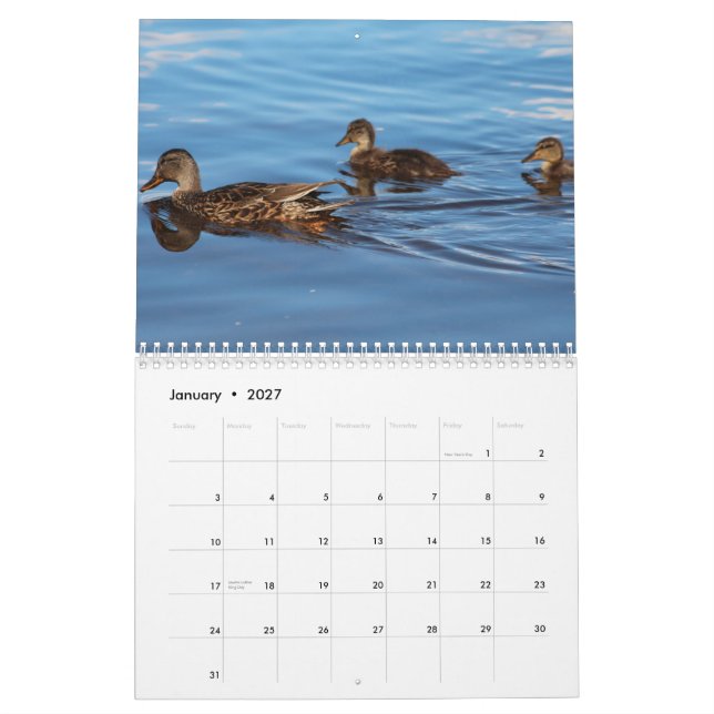 2014 Calendar Ducks (Jan 2027)