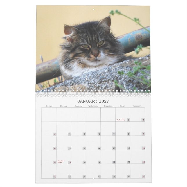 2014 Cat Calendar (Jan 2027)