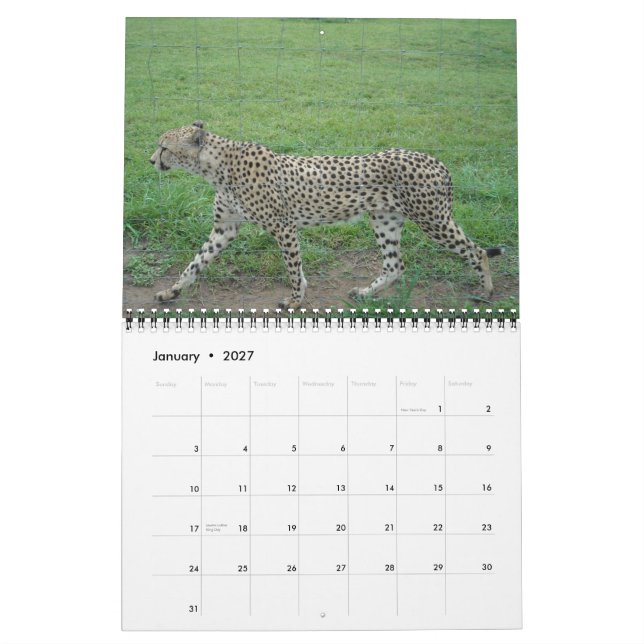 2014 Cheetah Calendar (Jan 2027)