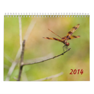 2014 Dragonfly and Damselfly Calendar
