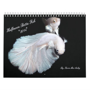 2014 Halfmoon Betta fish calendar