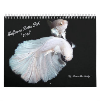 2014 Halfmoon Betta fish calendar