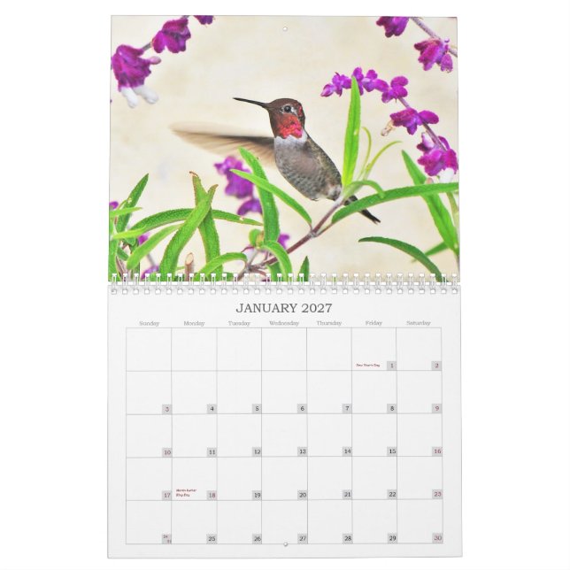 2014 Hummingbird Calendar (Jan 2027)