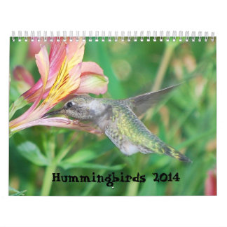 2014 Hummingbird Calendar