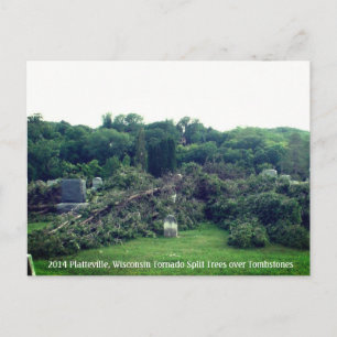 2014 Platteville, Tornadoes Memorabilia Postcard