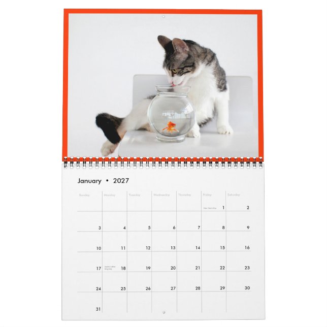 2014 semblable au liège le calendrier de chat de (Jan 2027)