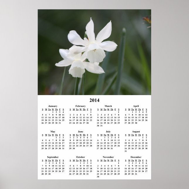 2014 White Daffodils Wall Calendar Poster (Front)