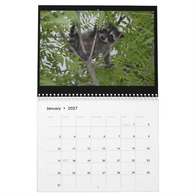 2014 Wildlife Calendar - Baby Raccoons (Jan 2027)