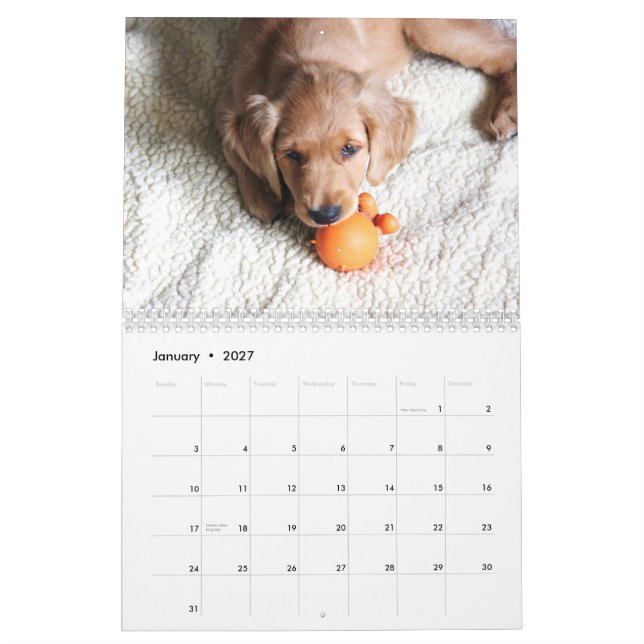 2015 Baby Penny Calendar (Jan 2027)
