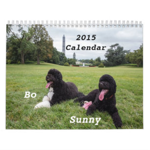 2015 Bo and Sunny Calendar