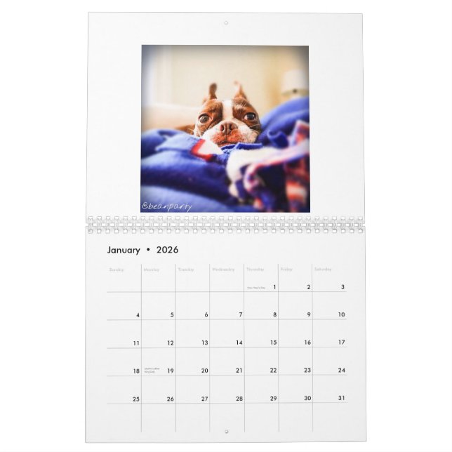 2015 Boston Terrier Calendar (Jan 2026)