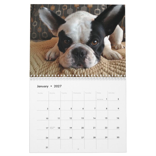 2015 Bubba Louie Calendar! Calendar (Jan 2027)