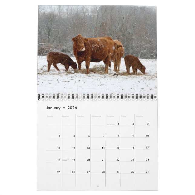 2015 Calendar Cows (Jan 2026)