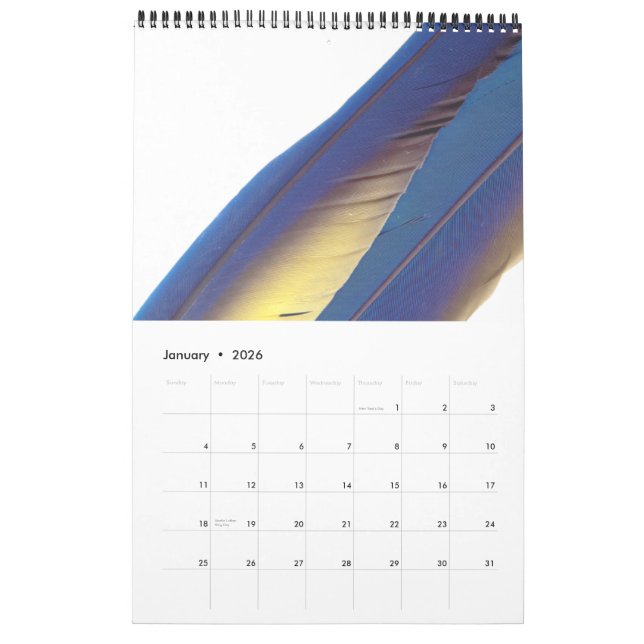 2015 Calendar of Bird feathers (Jan 2026)