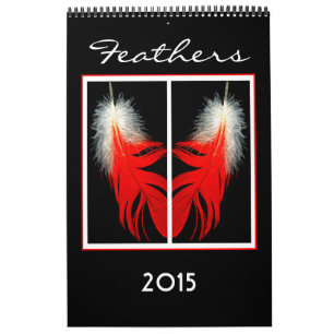 2015 Calendar of Bird feathers
