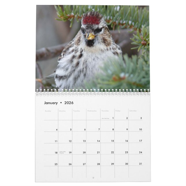 2015 Calendar of small birds (Jan 2026)