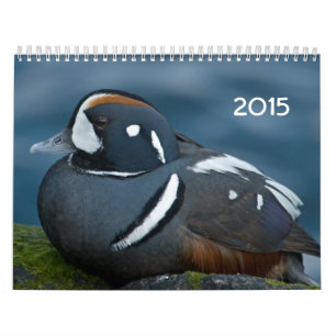 2015 Duck Calendar