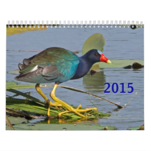 2015 North American Bird Calendar