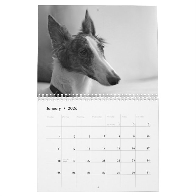 2015 Silken Windhound Puppies Calendar (Jan 2026)