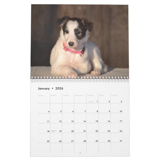2015 Silken Windhound Puppies Calendar (Jan 2026)