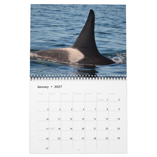 2015 Southern Resident Killer Whale Calendar (Jan 2027)