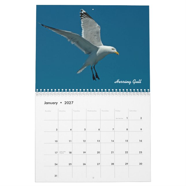 2015 Terns, Gulls and Gannets Monthly Calendar (Jan 2027)